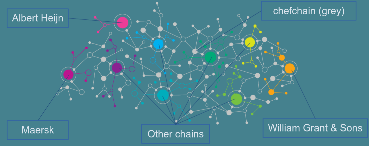 web of chains